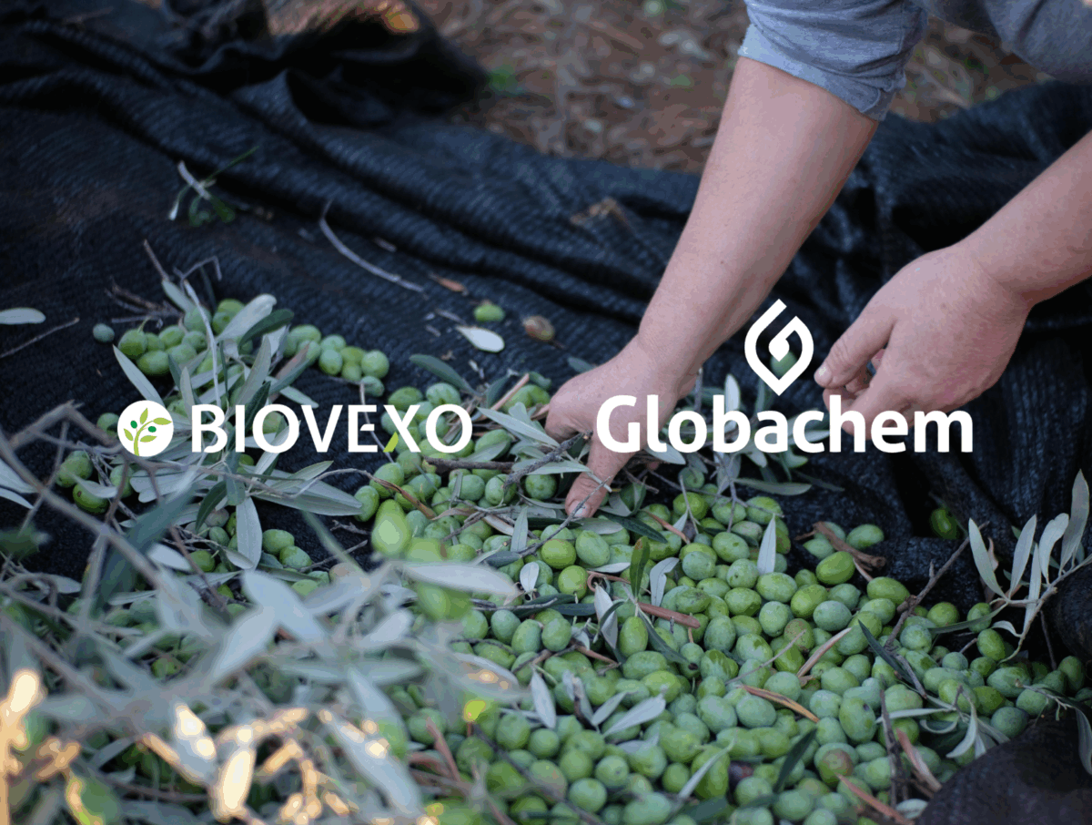 Globachem draagt bij aan Europees onderzoek naar biologisch gewasbeschermingsmiddel tegen Xylella fastidiosa
